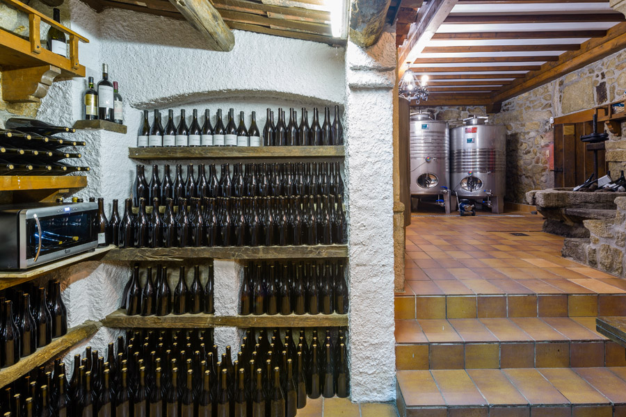 anadigna_bodega