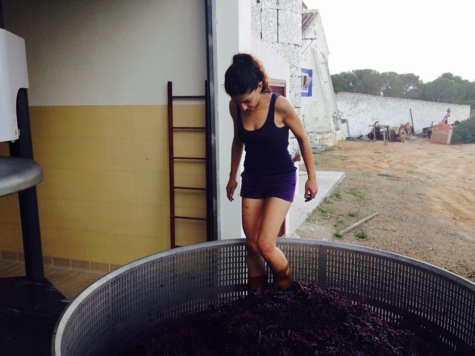 bodega_ladelterreno_enologa
