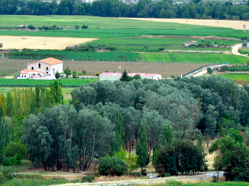 divinaproporcionbodegas