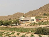 bodegassierrasalinas1