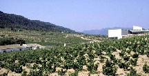 bodegassierrasalinas3