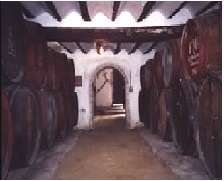 bodegasvinosculebron2