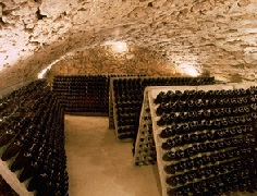 bodegarosellgallart1