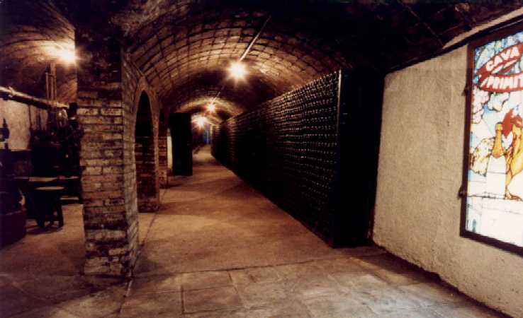 bodegascavasrovellats_3