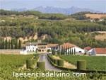 bodegasseguraviuda1