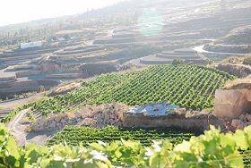 bodegasmenceychasna1