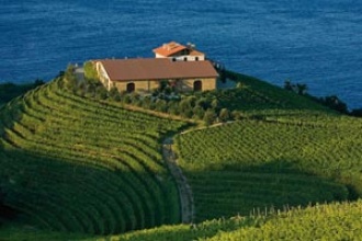 bodegastxominetxaniz1