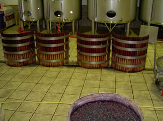 bodegasagricolassantarosa3