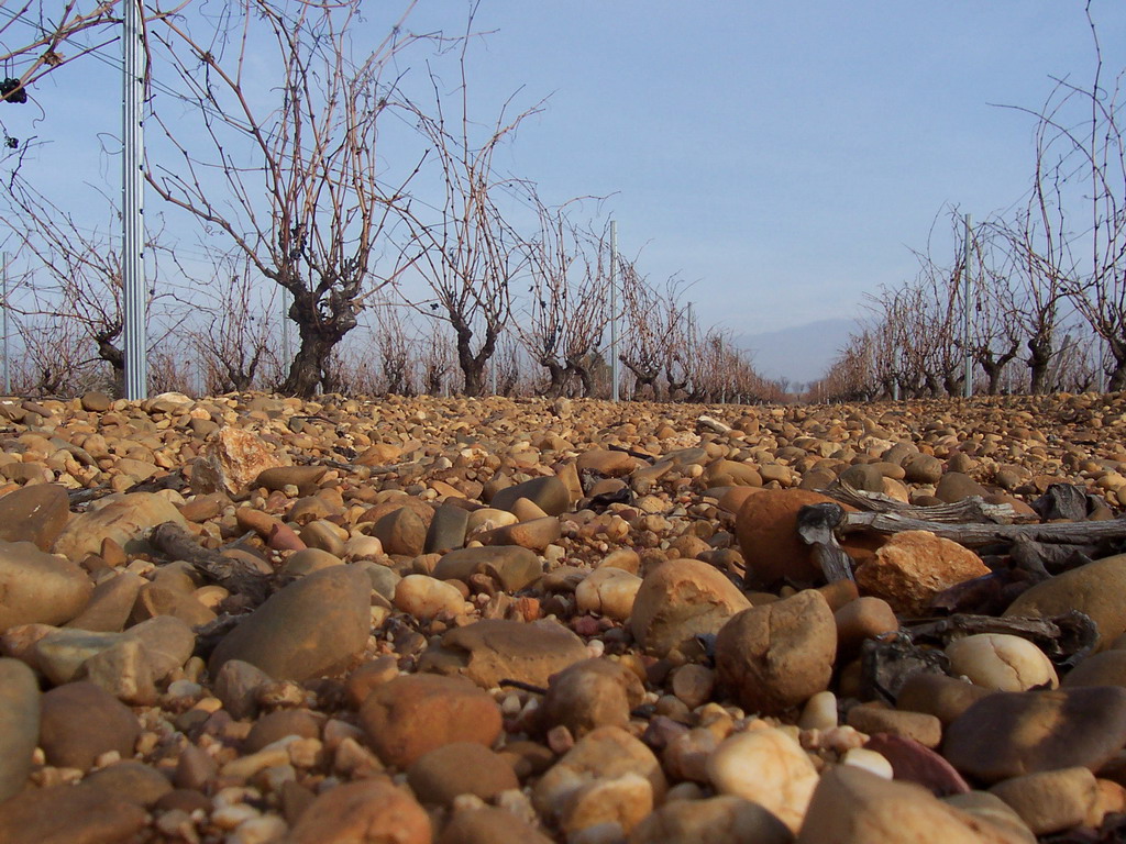 bodegaslacalle1