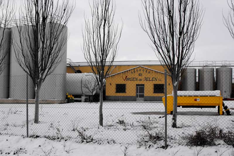 Logo de la bodega Bodegas Virgen de Belén, S.L.
