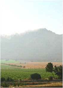 bodegadehesacarrascal2