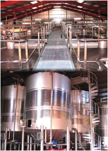 bodegadehesacarrascal3