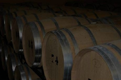 bodegadehesacarrascal4