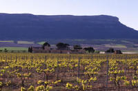 Logo de la bodega Hacienda el EsPino