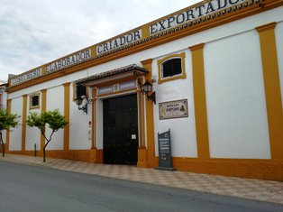 bodegasraposo2