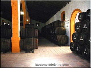 bodegasinfante2