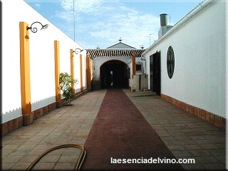 bodegasinfante3