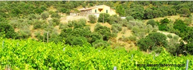 bodegasmaspolit1
