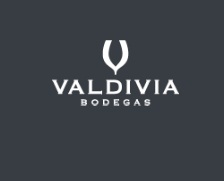 Logo de la bodega Bodegas Valdivia