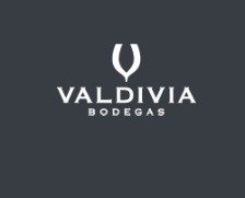 bodegasvaldivia