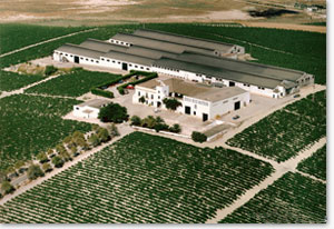 bodegasvinicolasoto2