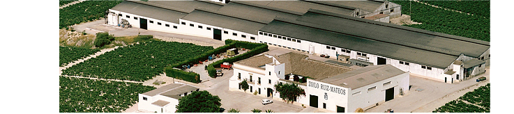 bodegaszoilo2