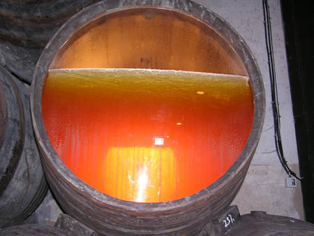 bodegasgutierrezcolosia4