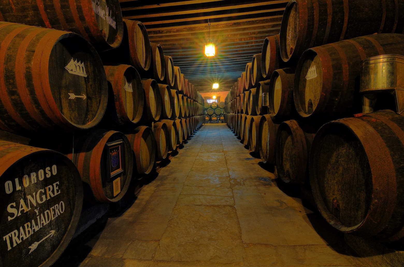 bodegasgutierrezcolosia5