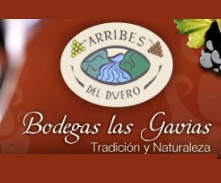 Logo from winery Bodegas las Gavias
