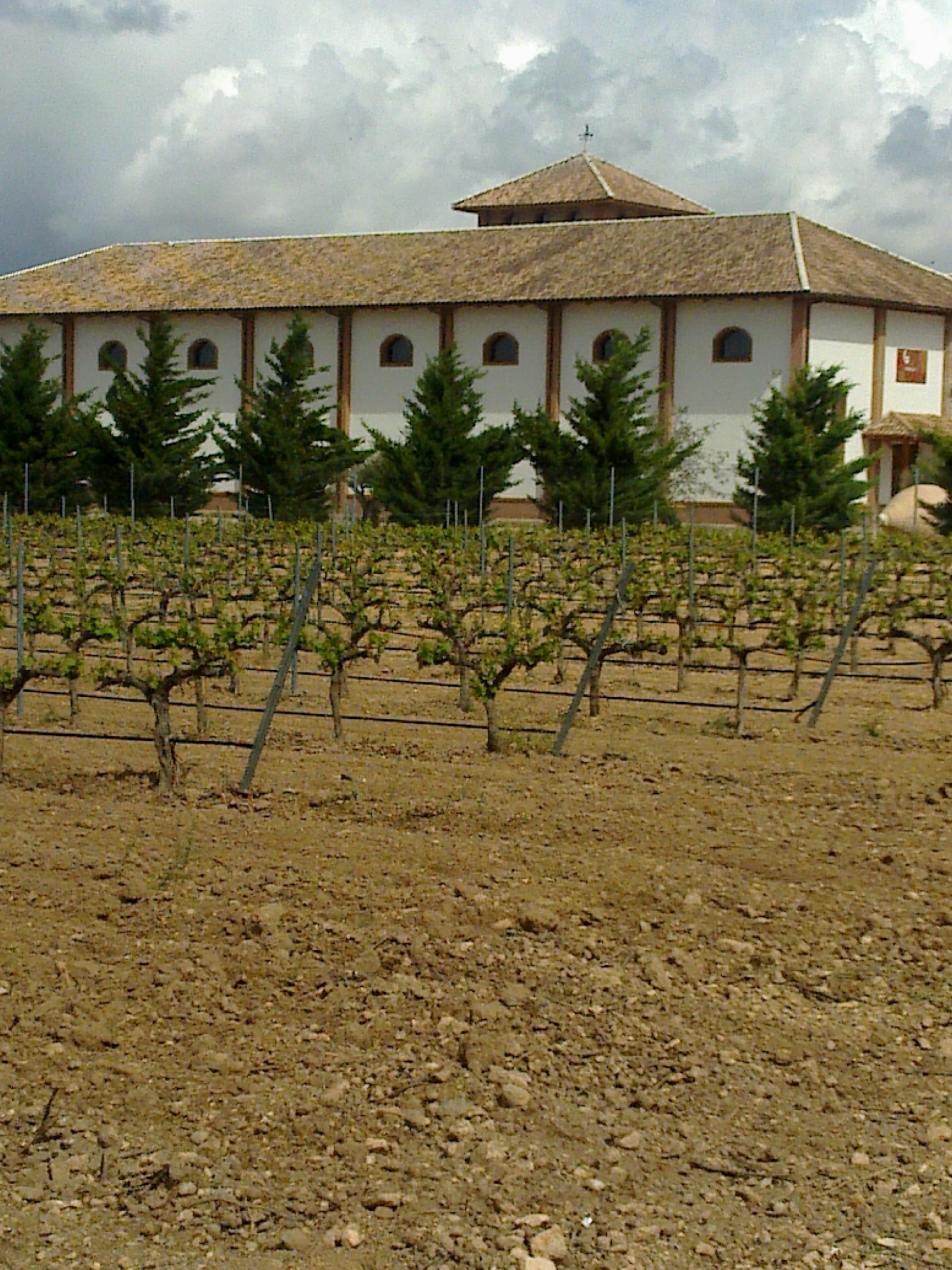 bodegasborjorne2