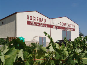 bodegasarribesdelduero1