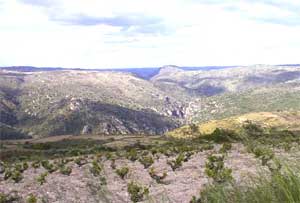 bodegasarribesdelduero2