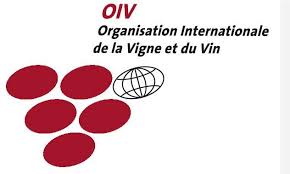 Imagen de la noticia La producción mundial de vinos aumenta en 2013