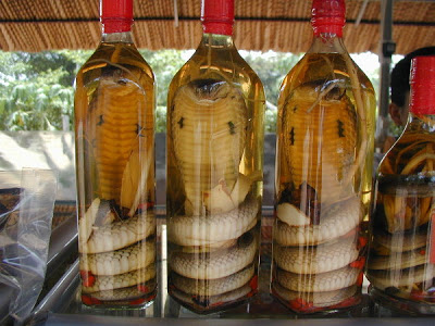 Imagen de la noticia Vino de Serpiente o Snake Wine
