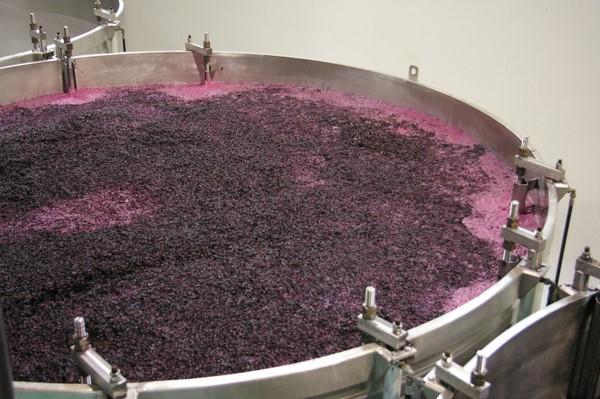 News image ¿Cómo se elabora el vino?