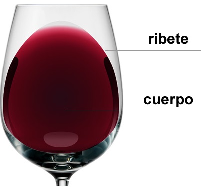 ribete_cuerpo_vino