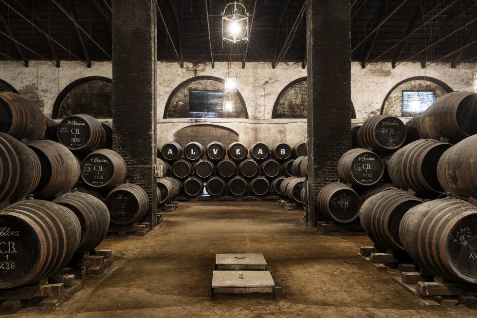 News image Alvear, la bodega más antigua de Andalucía