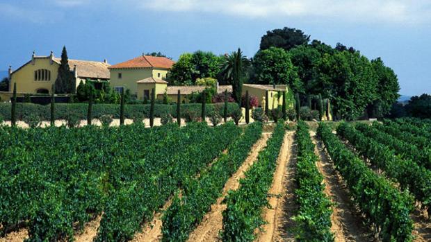 Imagen de la noticia Familia Torres, la marca de vinos más admirada del mundo
