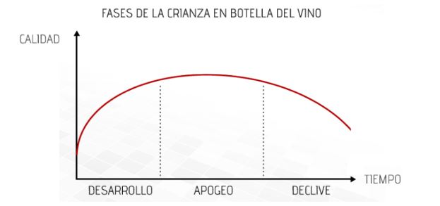 duracion_guarda_vino