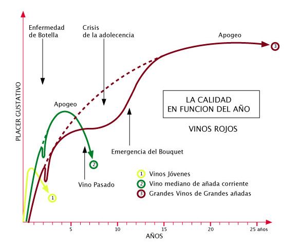 Imagen de la noticia ¿Cuánto tiempo puedo guardar un vino en la botella?