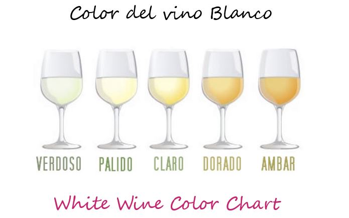 News image Significado del color del vino blanco