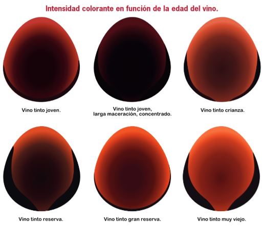 color_del_vino
