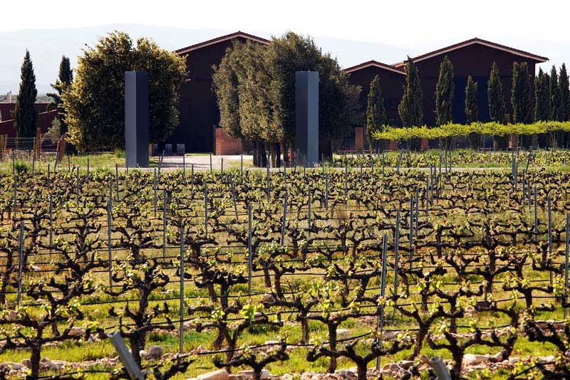 News image El primer vino de Rioja con apellidos gallegos