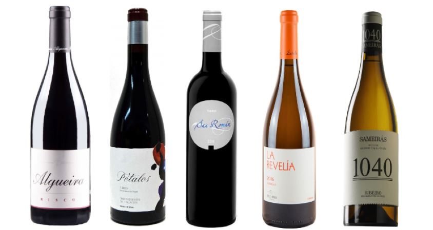 News image Cinco grandes vinos recomendados para disfrutar esta Nochevieja