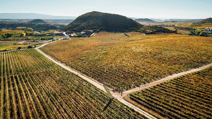 stairway_vinalanciano1