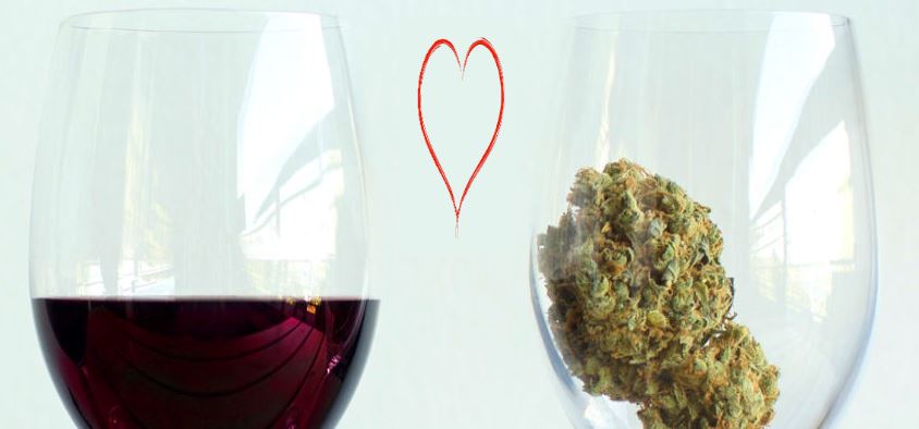 News image Marihuana y Vino, una mezcla de aromas