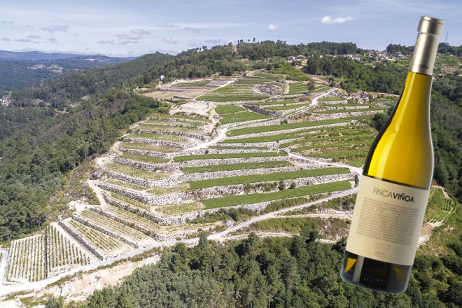 Imagen de la noticia Ribeiro Finca Viñoa, elegido mejor vino blanco de España 2019