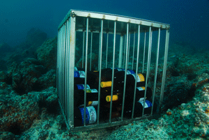 News image Bodega La Grieta, Weine unter dem Meer.