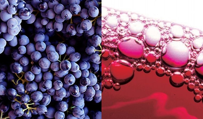 News image Vinos moleculares o vinos de laboratorio