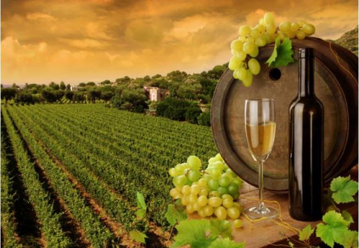 News image Recomendación de no viajar a las Rutas del Vino de España